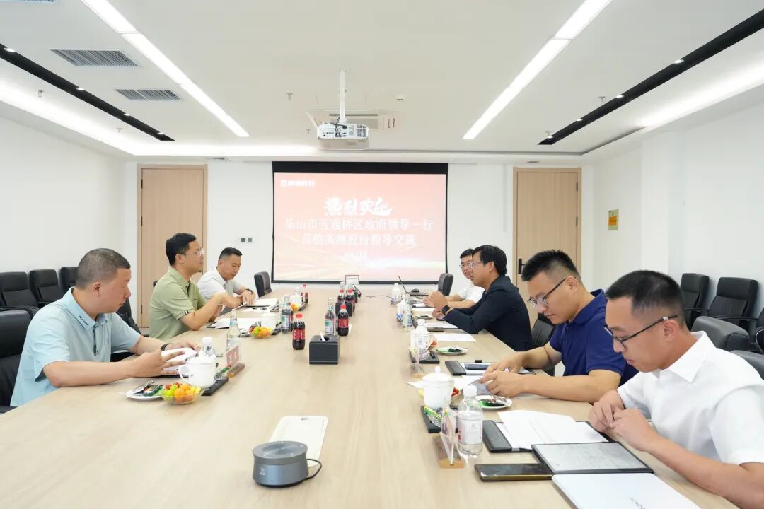 乐山市五通桥区委书记陈林强一行莅临高测股份考察指导